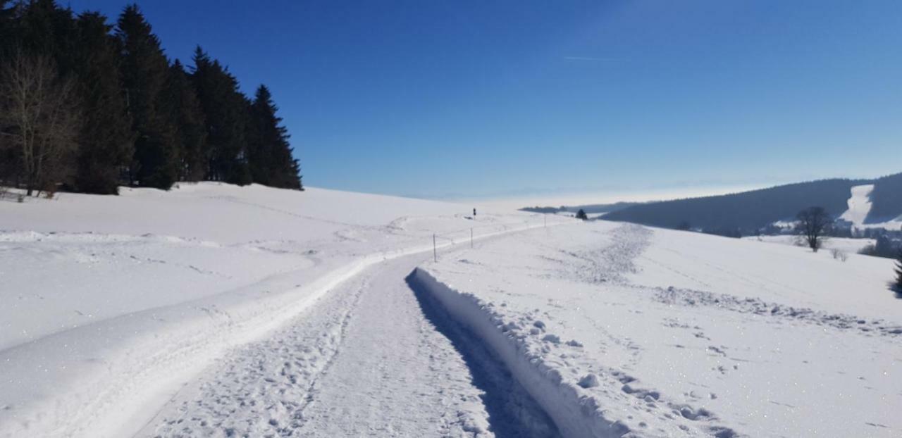 Апартаменти Jules Traum Im Schwarzwald Herrischried Екстер'єр фото