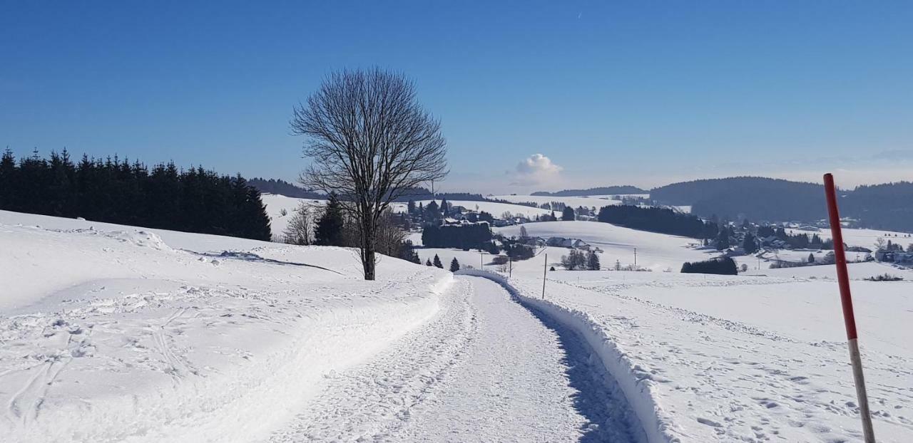 Апартаменти Jules Traum Im Schwarzwald Herrischried Екстер'єр фото
